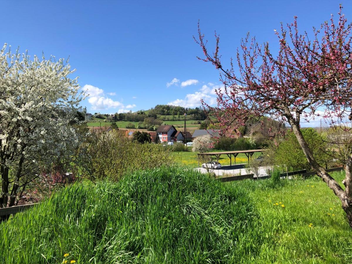 Ferienwohnungen Und Appartements Im Idyllischen Vierkanthof, Gruppenurlaube Loipersdorf bei Fuerstenfeld Bagian luar foto